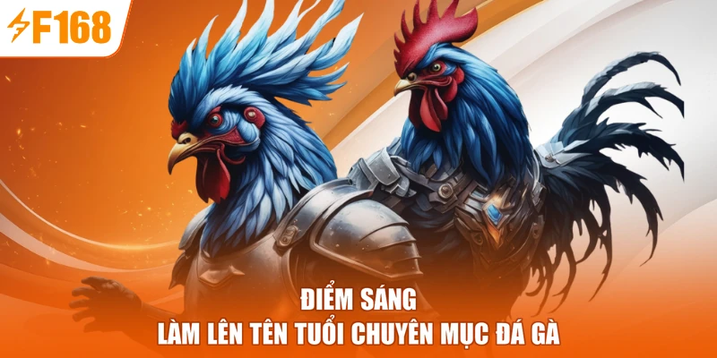 Điểm sáng làm lên tên tuổi chuyên mục đá gà